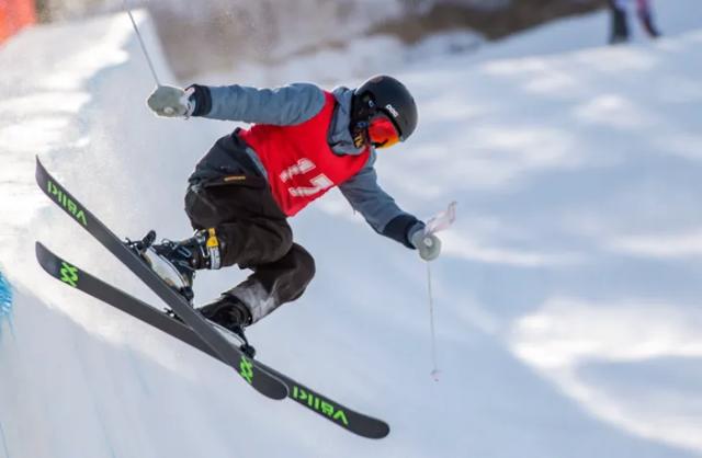 大雪已至 龙江皆雪趣