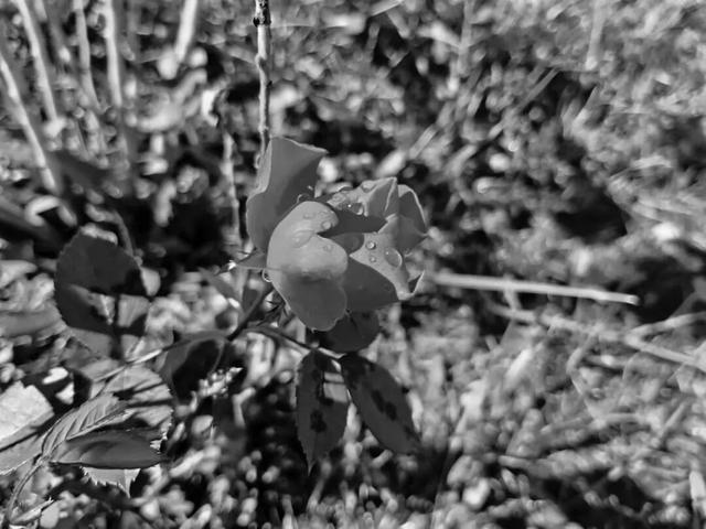 去捕捉秋的痕迹，一键点亮贵清山遮阳山景区的秋天！