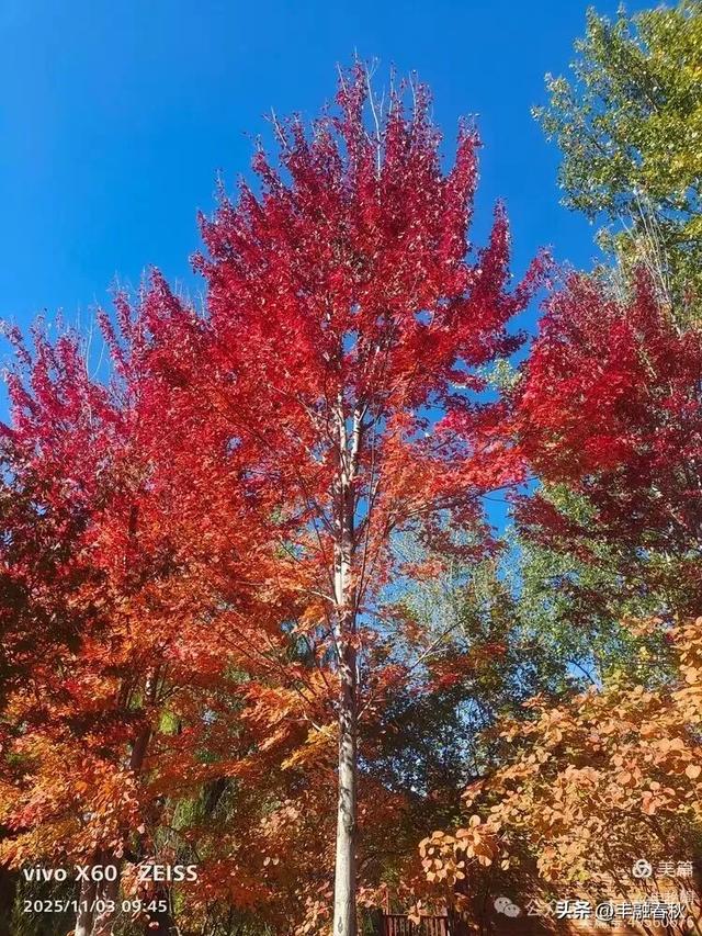 青岛即墨马山寻趣：一座地质公园的秋日私语｜申艳娟