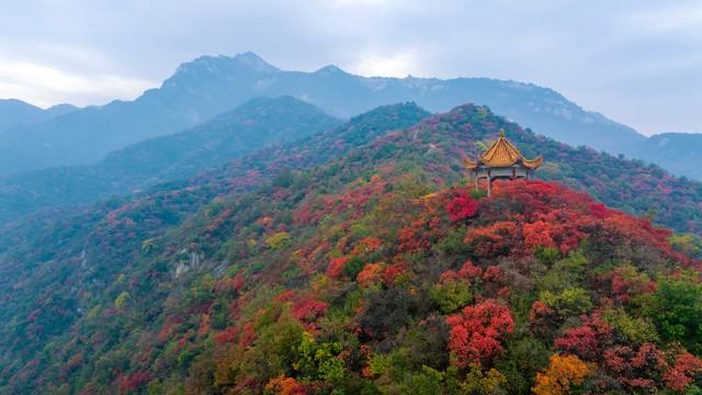 江苏深秋封神路线！红叶燃山野，银杏铺禅径，13城秋韵一次锁死
