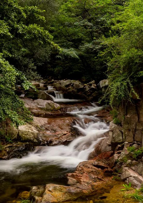 初秋泰山彩石溪:清泉石上流 翠色染溪谷