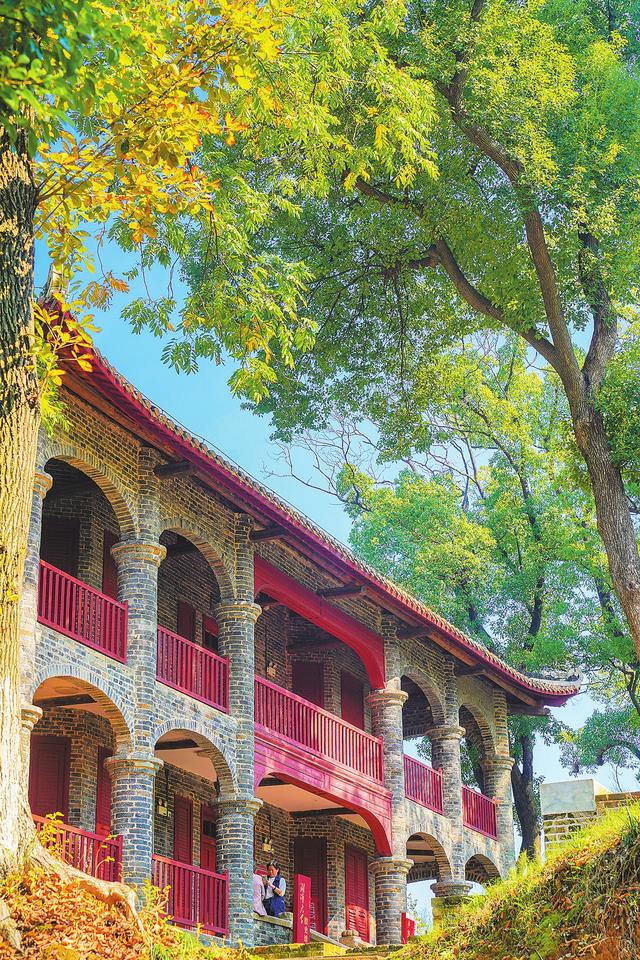 图说岳阳丨初冬已至秋未央 一城金色半城诗