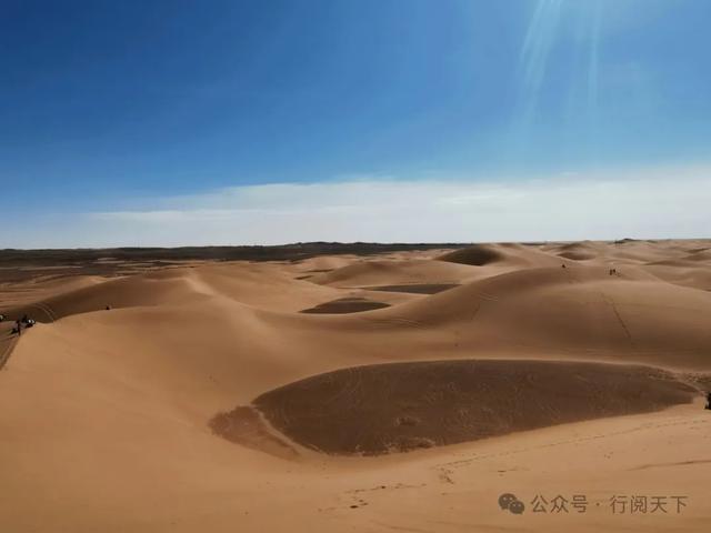 额济纳，额济纳，秋天必须要去额济纳，与金色胡杨林相遇