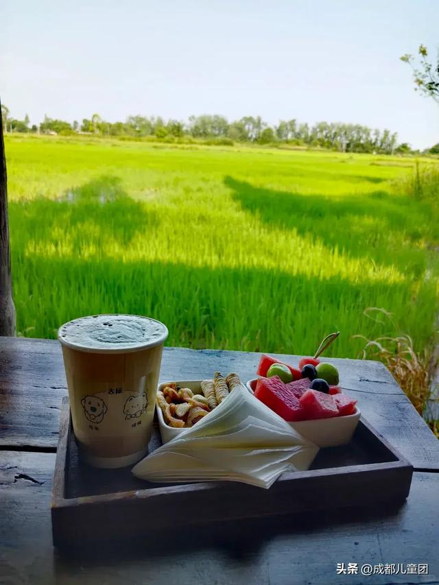 夏天一定要看一次稻田！这4处可看，还能喝下午茶逛博物馆