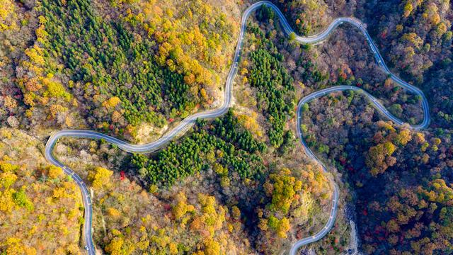 山道弯弯秋色浓