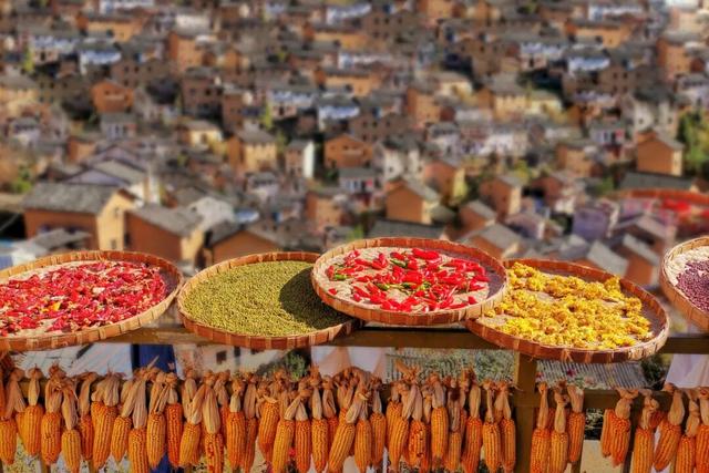 皖南赏秋自驾游，邂逅古徽州最浓烈的秋色 | 皖美秋日