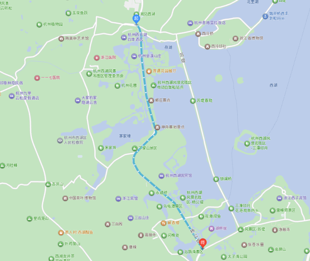 西湖景区“落叶不扫”已开始，4条道路等你打卡