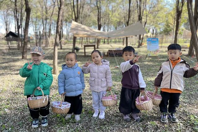 层林尽染引客来～“红叶经济”红透浅山富了乡邻