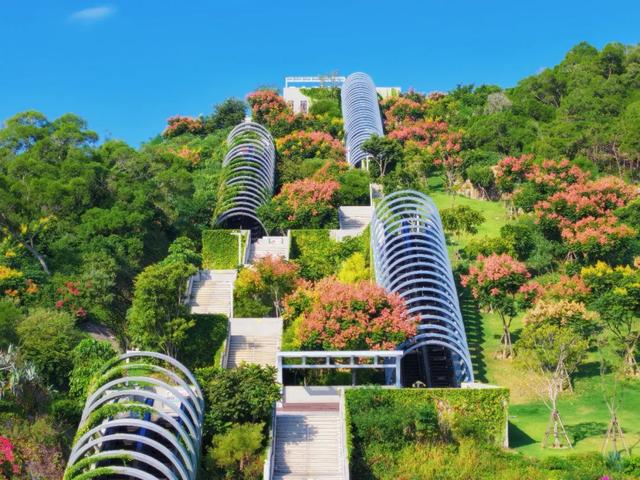 这是冬天?厦门暖冬花花花花花花样缤纷~