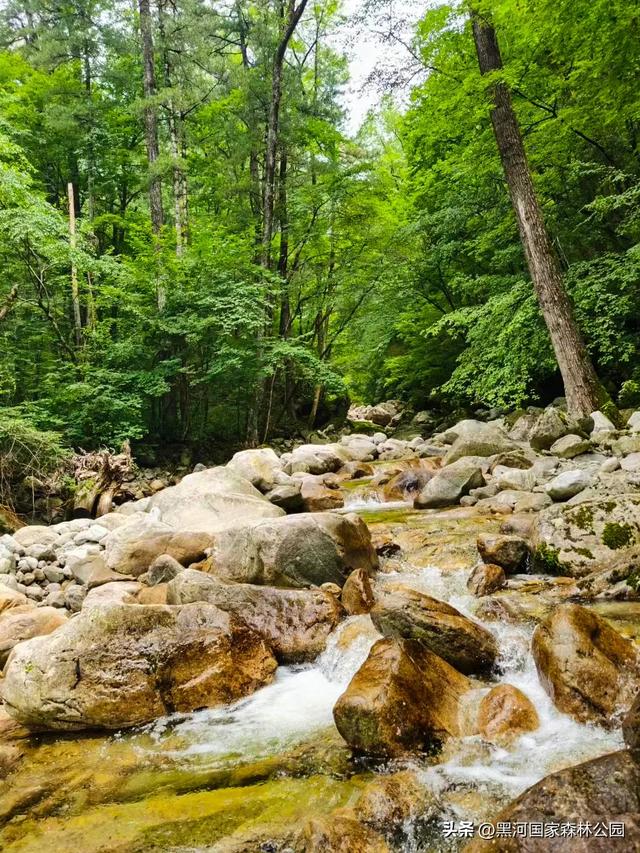 这个夏天，凉爽黑河等风也等你