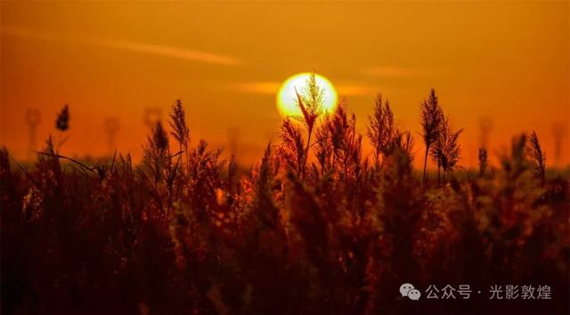 【美景敦煌】大漠孤烟直,党河落日圆