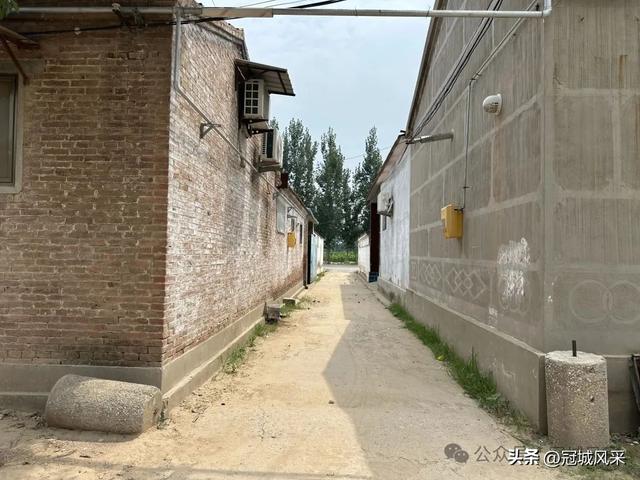 冠县乡韵·甘官屯镇太平庄