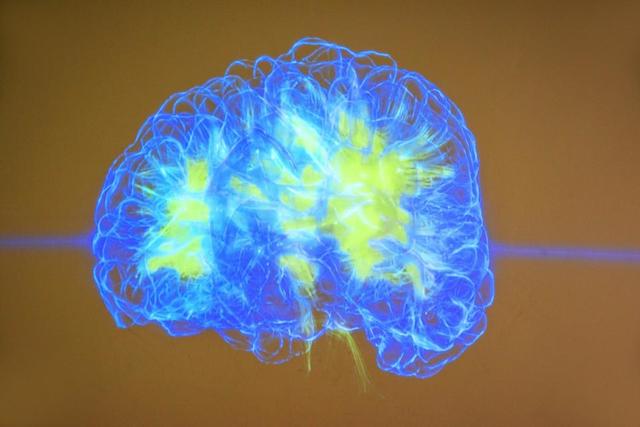 AI能像大脑一样学习和进化吗？神经科学启发AI革命