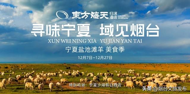 【乐游烟台】周末好去处丨雪窝烟台，冬日仪式感拉满了！