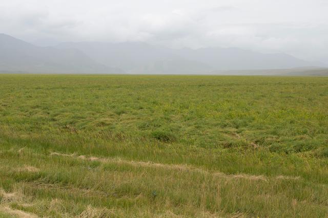 张掖山丹马场——祁连山脚下的大草原