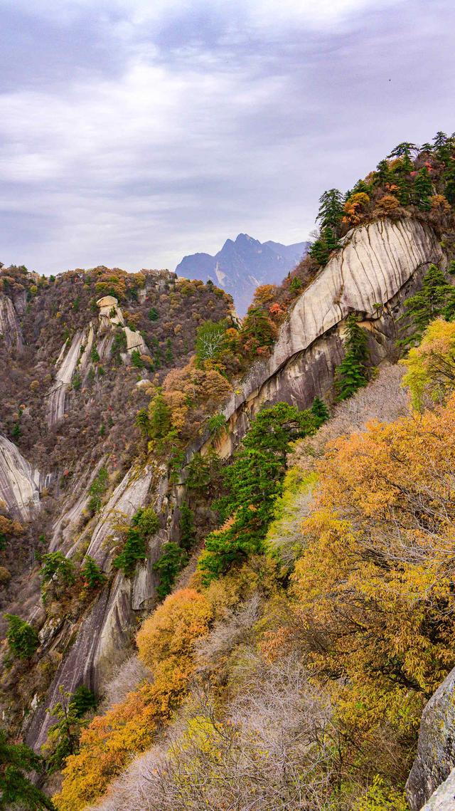 魂牵梦萦，我登上思念已久的华山.......
