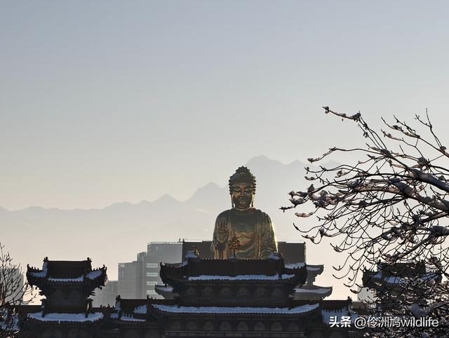 新疆乌鲁木齐红光山大佛寺