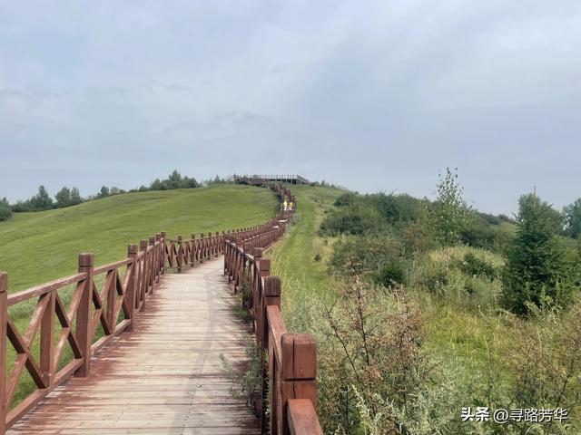 相逢在临夏草长沟的风里