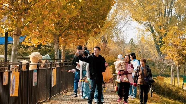 即刻出发！这个宝藏乐园迎来一年中最美时节！