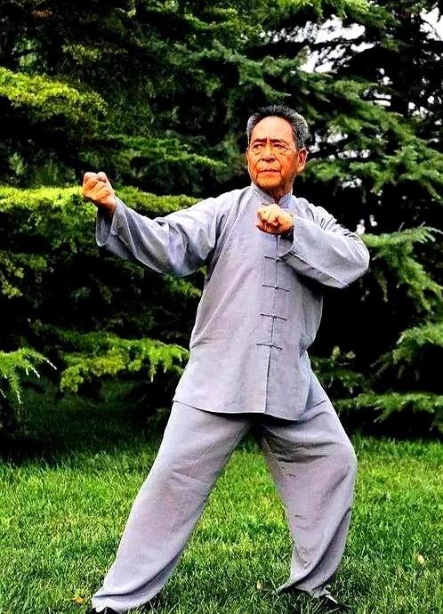 肋骨一开，千斤力来！高手为何推手像堵墙？秘密在“肋间弹簧”！