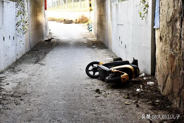 郑州：高铁公园这些共享电动车谁扔的