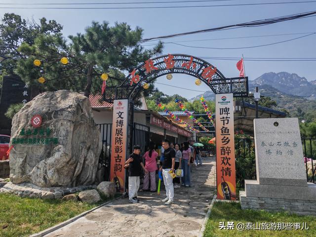 泰安：它是泰山“北大门”，田园风光让人陶醉，有株800年板栗树