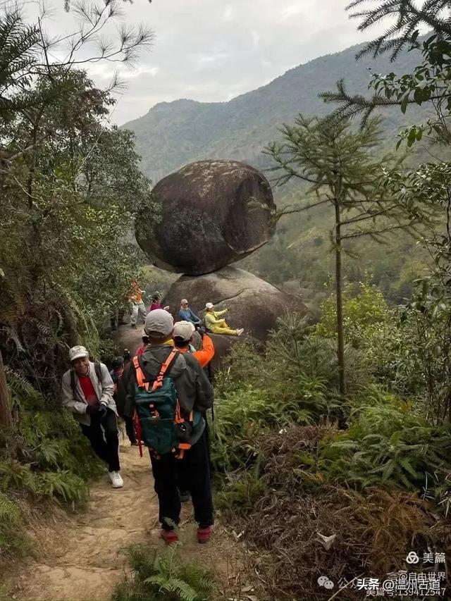 一步一景,奇石不断!温州这处奇石纷呈的的免费景区你可去过?