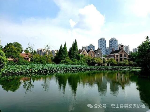 李永辉：水墨画卷——成都南湖公园