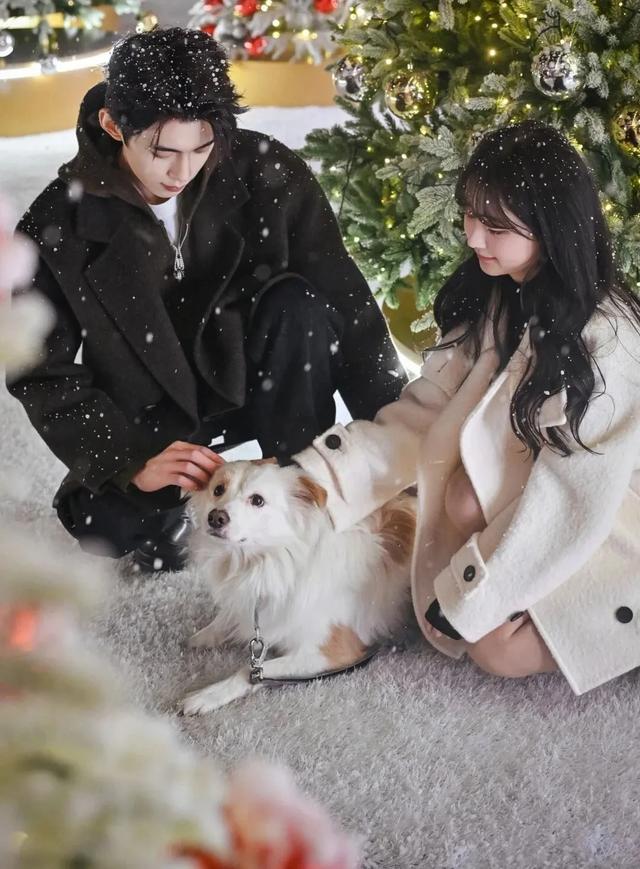 重庆人注意！这些地方将迎今冬“第一场雪”