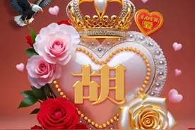 姓氏头像：胡、王、苗、薛、王、蔡、黄、范、苏……图片