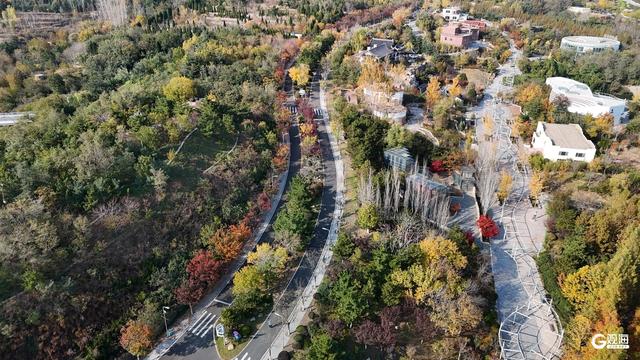 处处皆美景 初冬的世博园被焦糖色填满