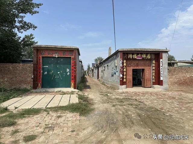 冠县乡韵·定远寨镇前杏园村