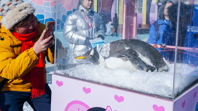 这个周末，相约星海湾浴场