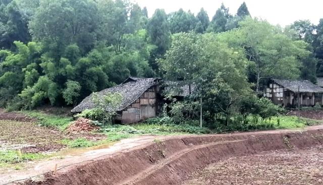 四川山村小镇赶场的真实景象,70后看了是什么感觉?