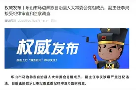 乐山市马边彝族自治县人大常委会党组成员、副主任李灵接受审查调查图片