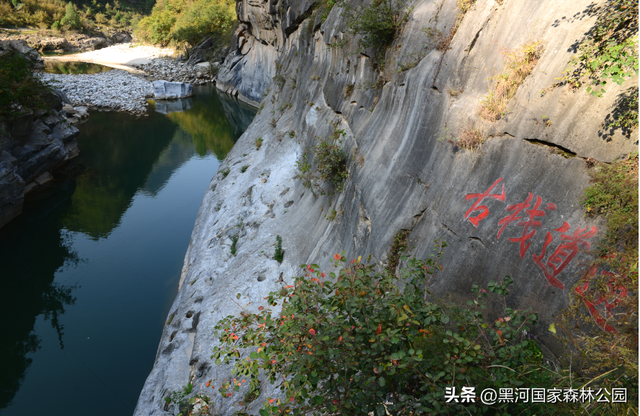 强烈推荐！适合全家出游的避暑胜地，清凉舒适风景美！