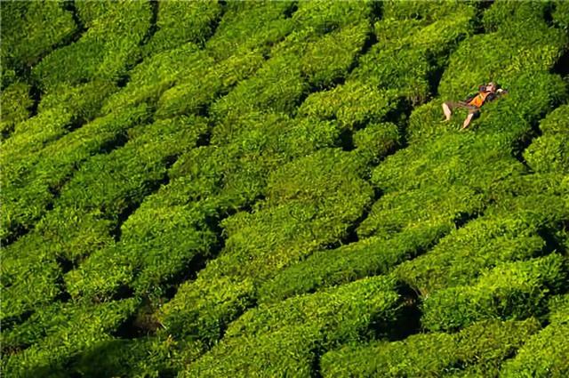 走过千山万水才懂：很多事，走着走着就释怀了