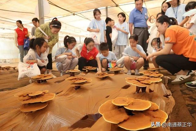 火了！南通再添网红打卡地！已吸引近千人打卡
