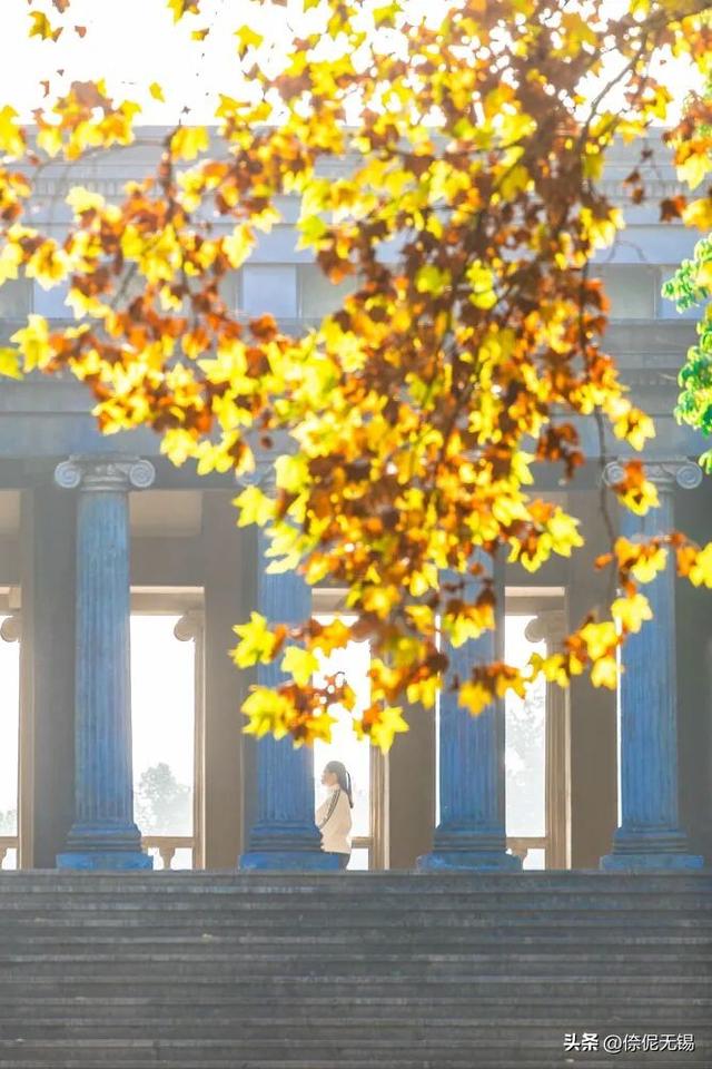 无锡这个免费大公园，又火了！