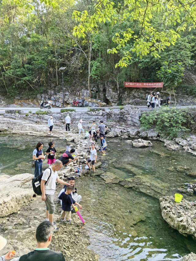 带小朋友去贵州茂兰,连环探洞加漏斗原始森林徒步二日游全攻略!