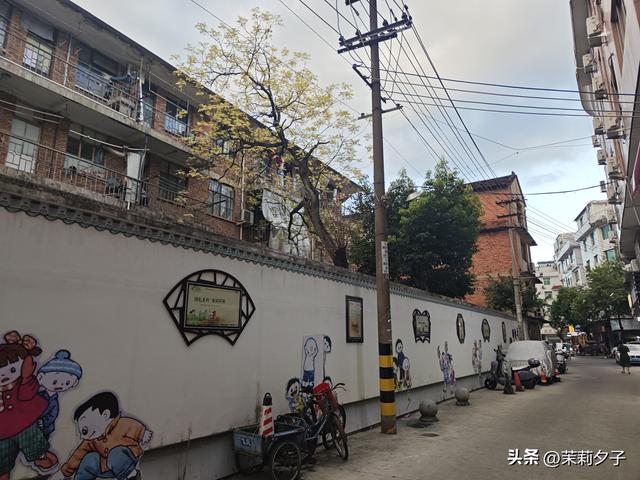 福鼎市区一日游：从白茶发源地到市井小吃赏唐风建筑品山海韵味