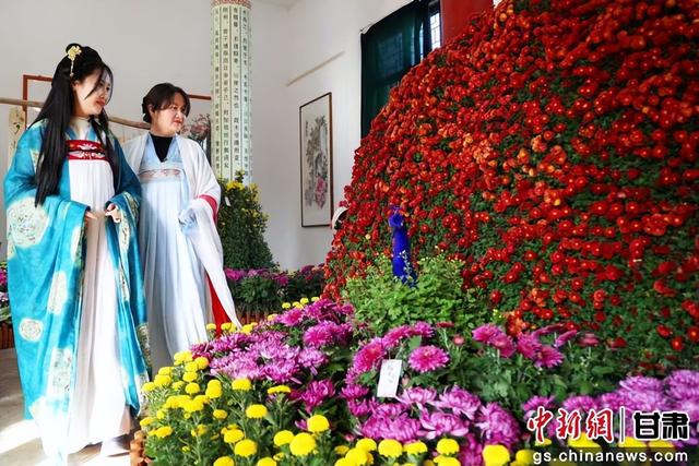 甘州首届菊花文化月启幕 万菊绽放醉游人