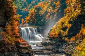 表妹的歪理邪说作文（精选23篇）图片