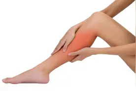 左小腿肚酸痛是什么原因引起的图片