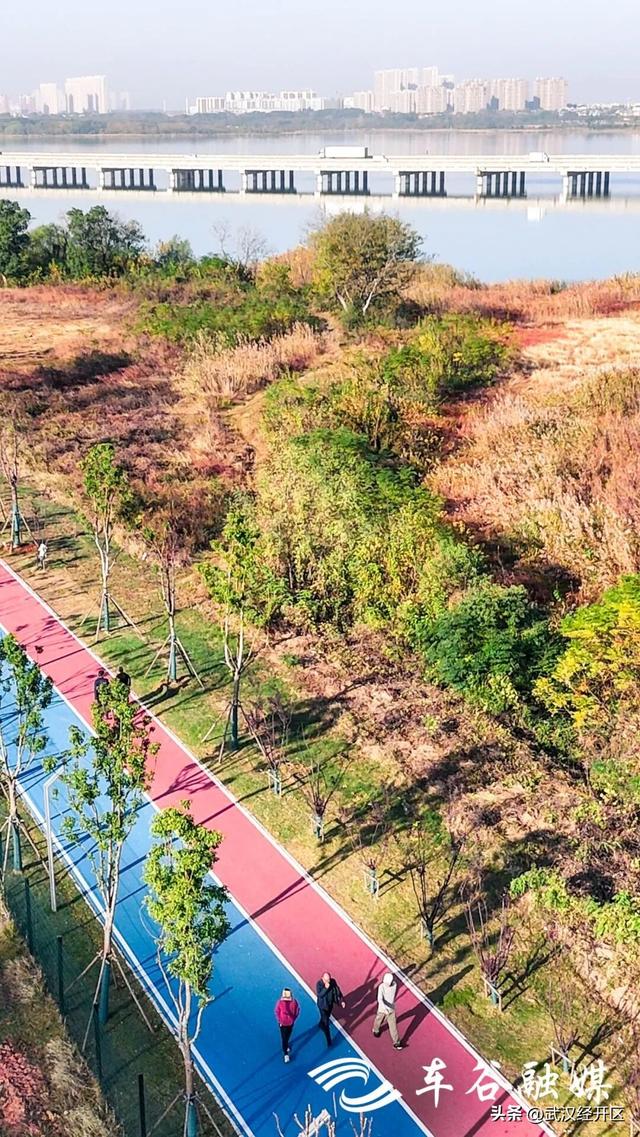 橙黄橘绿时 武汉经开区斑斓如画