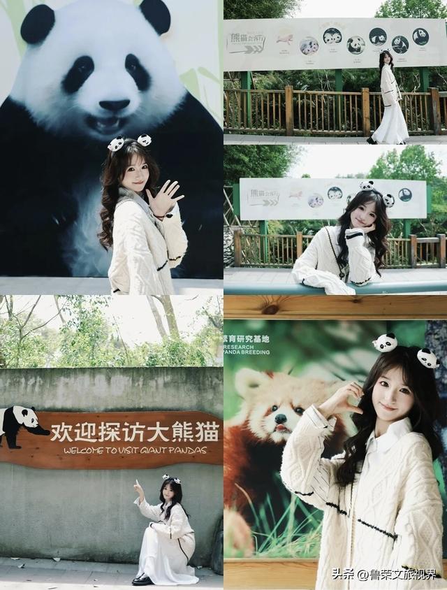 川西秋韵长卷：从九寨秘境到古城烟火