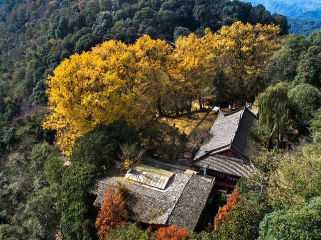 免票！5折！2025秋假大礼包特惠来啦！多重惊喜等你解锁→