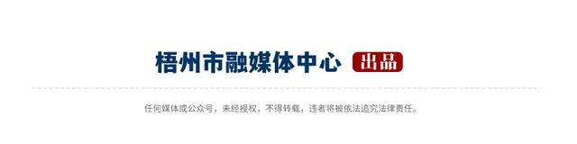 守文脉 兴文旅 建名城丨梧州市加快建设岭南历史文化名城