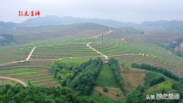 尖山梯田：胜过覆卮山与云和梯田，可成全国闻名的网红景观