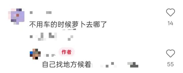 包车一天88元？萝卜快跑不用驾照、不限里程……